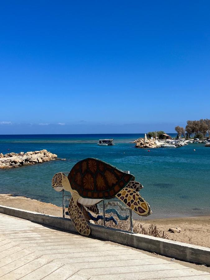 Taniandres Apartments Paralimni Exteriör bild